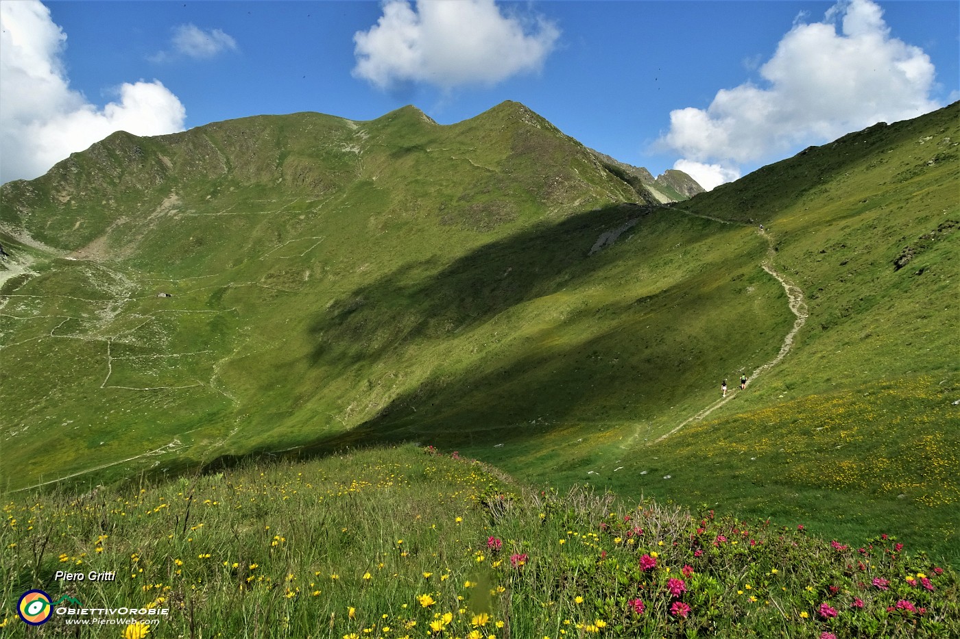 27 Pascoli fioriti con vista verso il Passo di Tartano e Cima di Lemma.JPG